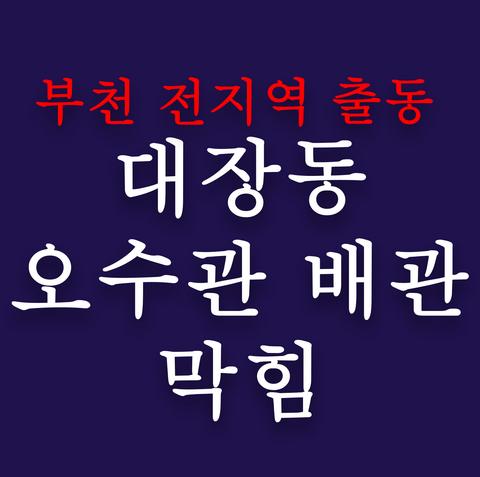 대장동 오수관 배관 막힘