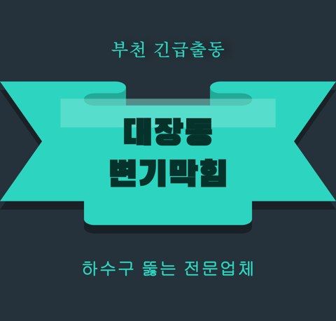 대장동 변기막힘 5878