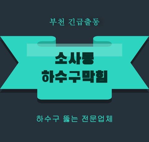 소사동 하수구막힘 5979