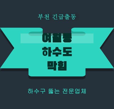 여월동 하수도 막힘 5942