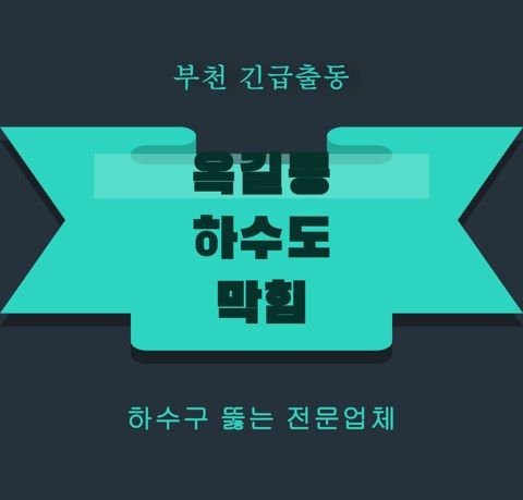 옥길동 하수도 막힘 5954