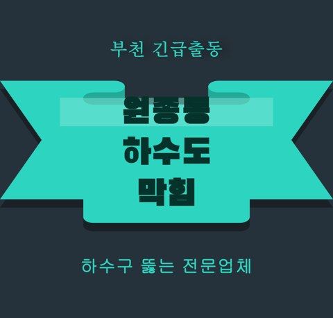 원종동 하수도 막힘 5948